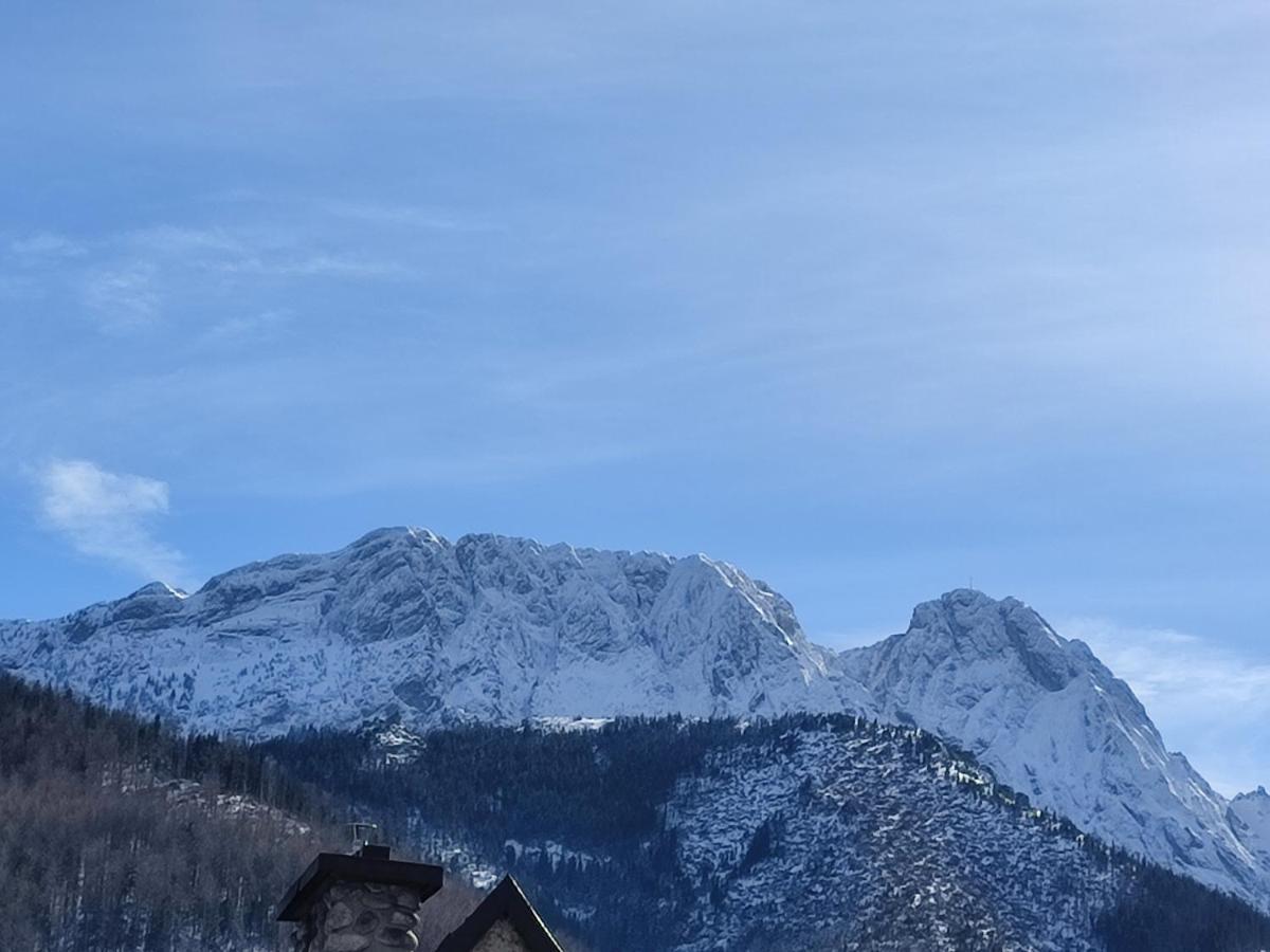 Willa Hajnowka Zakopane Luaran gambar